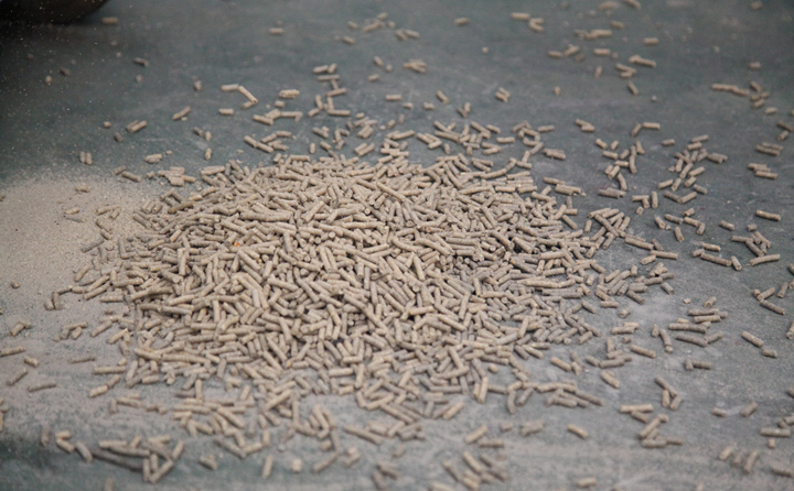 稻殼顆粒飼料 稻殼顆粒飼料