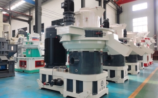 鋸末顆粒機(jī)生物質(zhì)顆粒，將會(huì)改變普通人民的生活！