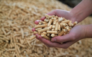 為什么越來越多人選鋸末顆粒機(jī)的生物質(zhì)顆粒取暖？